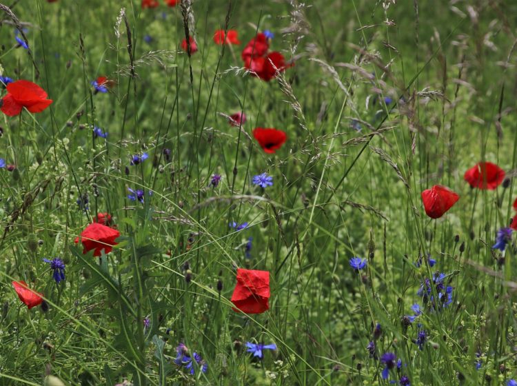 small business link roundup for may, 2019