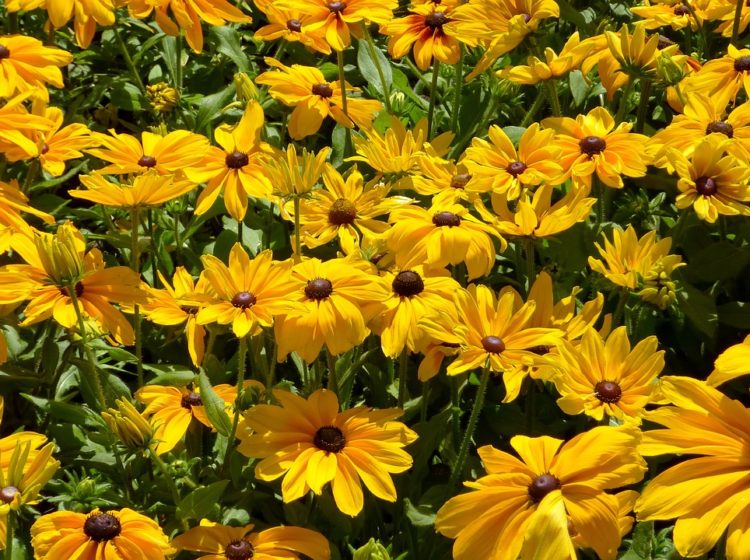 small biz link roundup