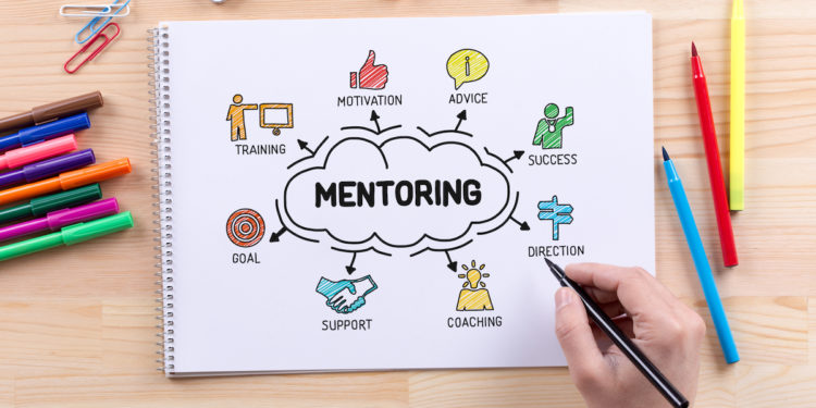 creating mentoring program for your small biz
