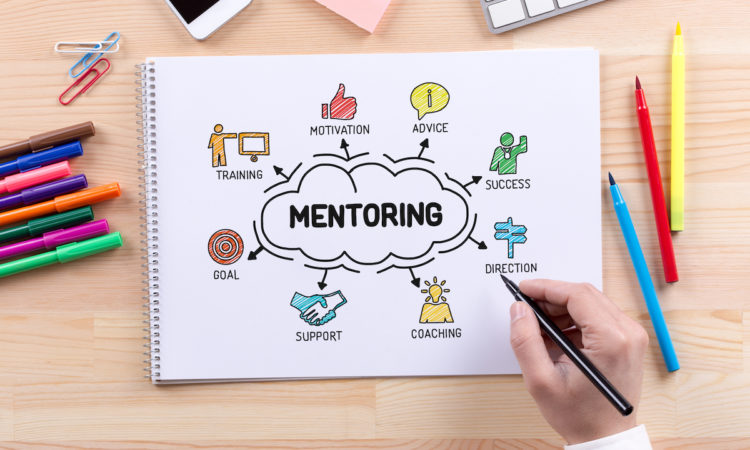 creating mentoring program for your small biz