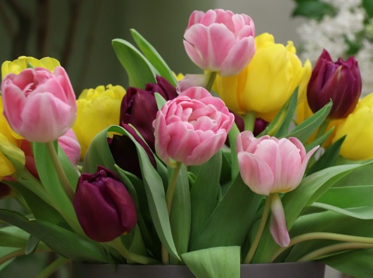 small business roundup march 2020