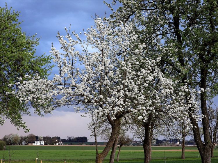 smallbiz-linkroundup-04.30