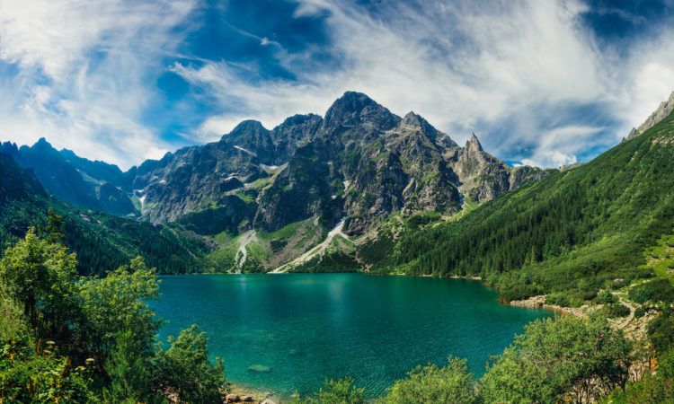 small biz link roundup June