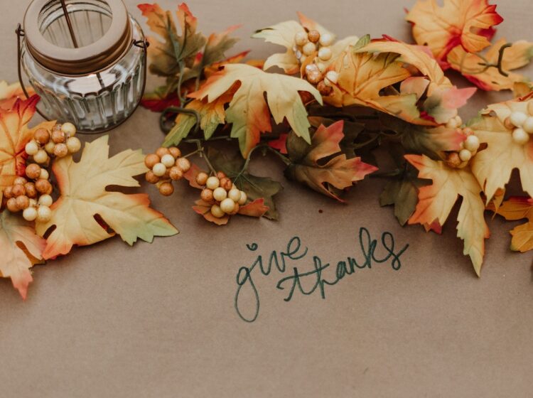 small business roundup nov