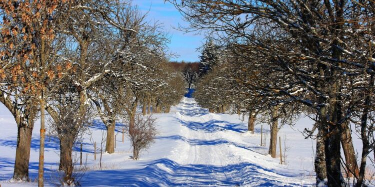 link roundup jan 2021