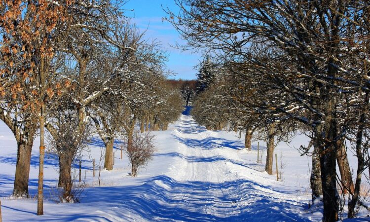 link roundup jan 2021