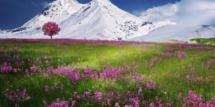 small biz roundup 04.2021