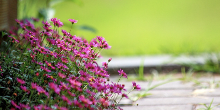 smallbiz-july-roundup