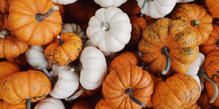 small business roundup in oct 21