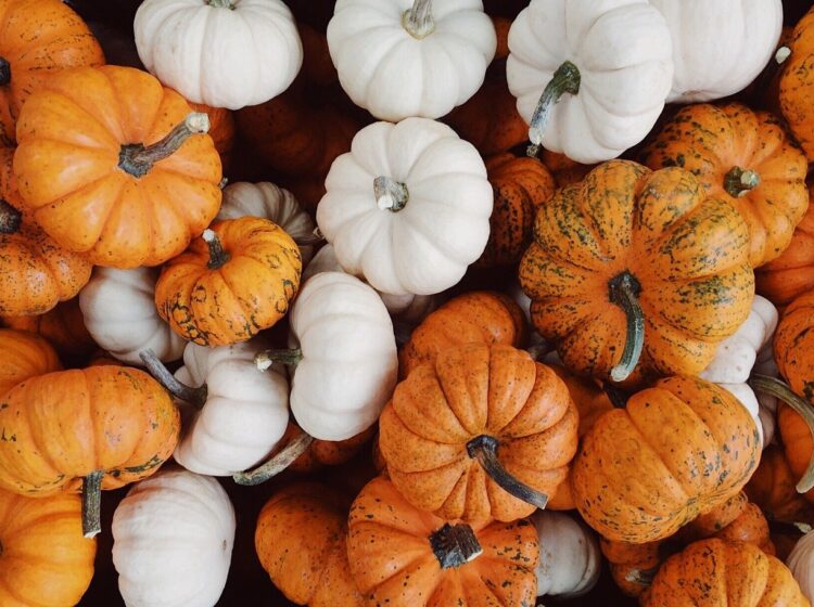 small business roundup in oct 21