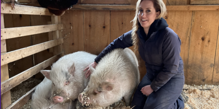 animal farms time tracking app