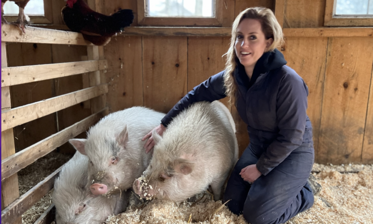 animal farms time tracking app