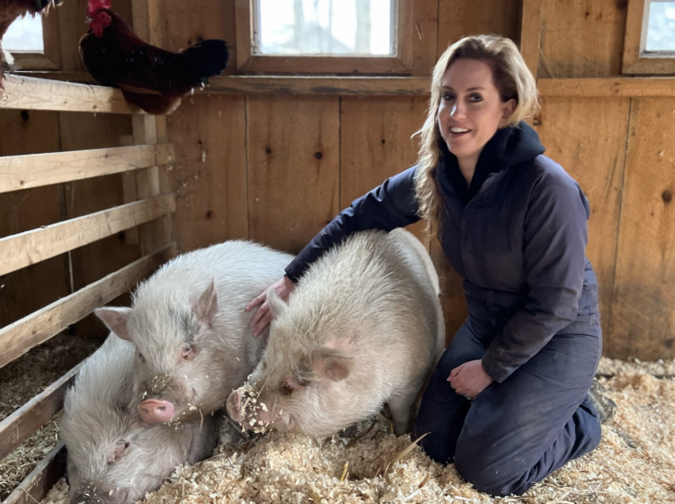 animal farms time tracking app